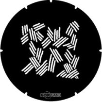 2 502 023 XXX