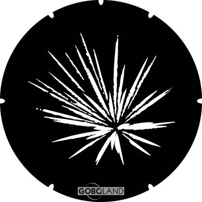 2 420 016 XXX