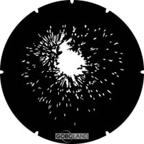 2 420 019 XXX
